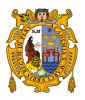 Universidad Nacional Mayor de San Marcos (Perú)
